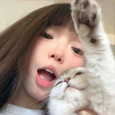 阳光下的石头